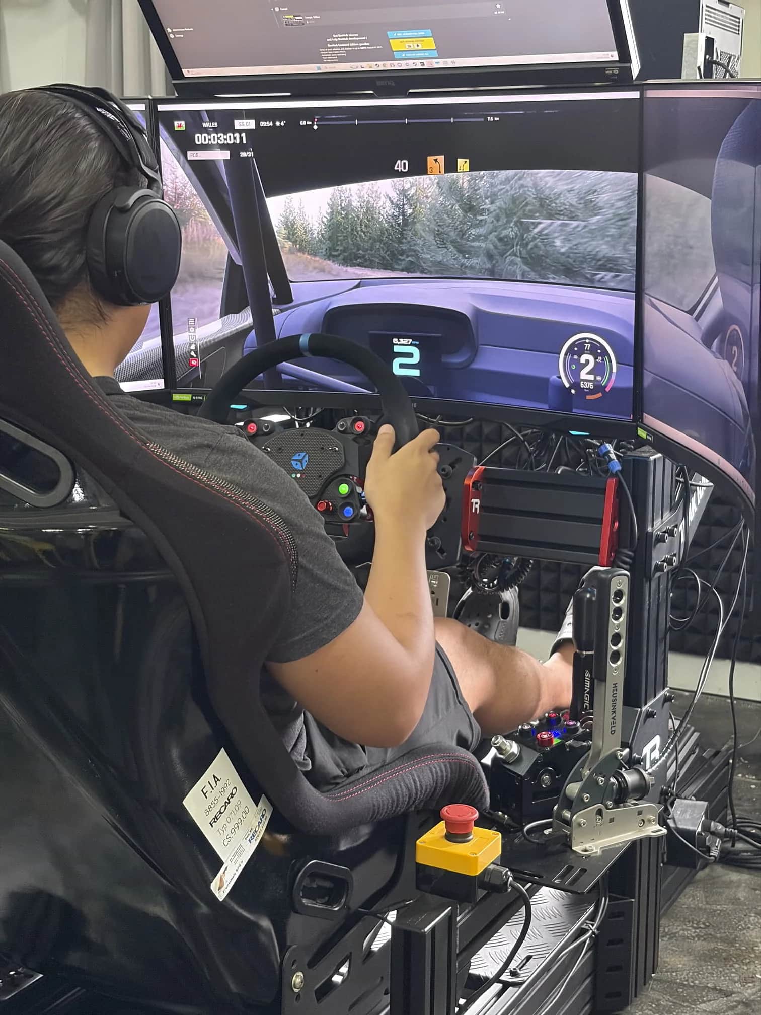 Professional Racing & Flight Simulation